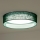 Duolla - LED stropno svetlo ROLLER LED/24W/230V, prečnik 45 cm, zeleno