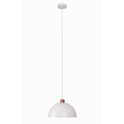 Duolla - Luster na kablu IRONLINE 1xE27/15W/230V Ø 27 cm bela/bakrena