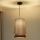 Duolla - Luster na sajli BELL SHINY 1xE27/15W/230V prečnik 25 cm srebrna/crna
