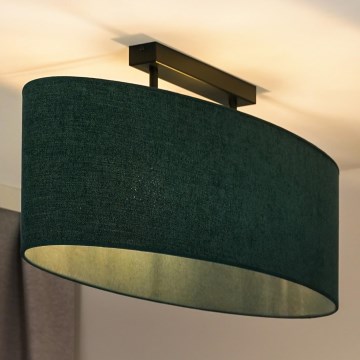 Duolla - Plafonski luster OVAL 2xE27/15W/230V zelen