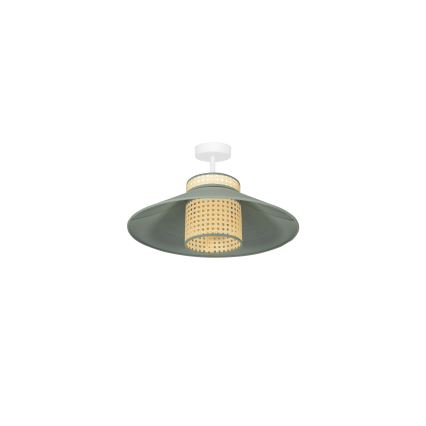 Duolla - Plafonski luster RIO RATTAN 1xE27/15W/230V prečnik 45 cm zelena/ratan