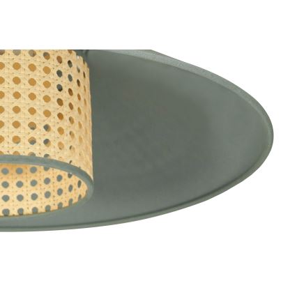 Duolla - Plafonski luster RIO RATTAN 1xE27/15W/230V prečnik 45 cm zelena/ratan