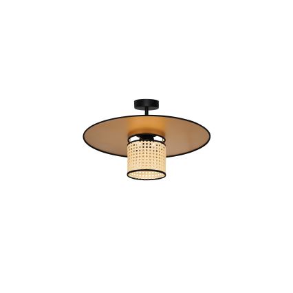 Duolla - Plafonski luster TOKYO RATTAN 1xE27/15W/230V prečnik 50 cm zlatna/ratan