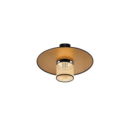 Duolla - Plafonski luster TOKYO RATTAN 1xE27/15W/230V prečnik 50 cm zlatna/ratan