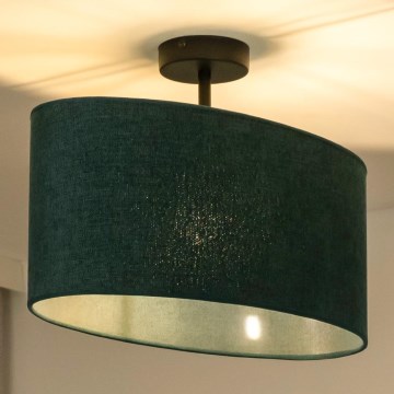 Duolla - Prislonjen zeleni plafonski luster OVAL 1xE27/15W/230V