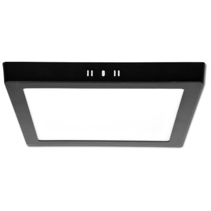 LED plafonsko svetlo RAFA LED/25W/230V 3000/4000/6000K 30x30 cm crna