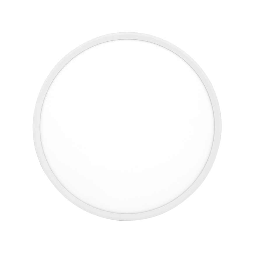 LED plafonsko svetlo SALY LED/40W/230V 3000/4000/6000K Ø 50 cm IP40 bela