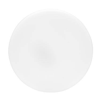 LED plafonsko svetlo za kupatilo LIRA LED/12W/230V 4000K prečnik 24 cm IP44