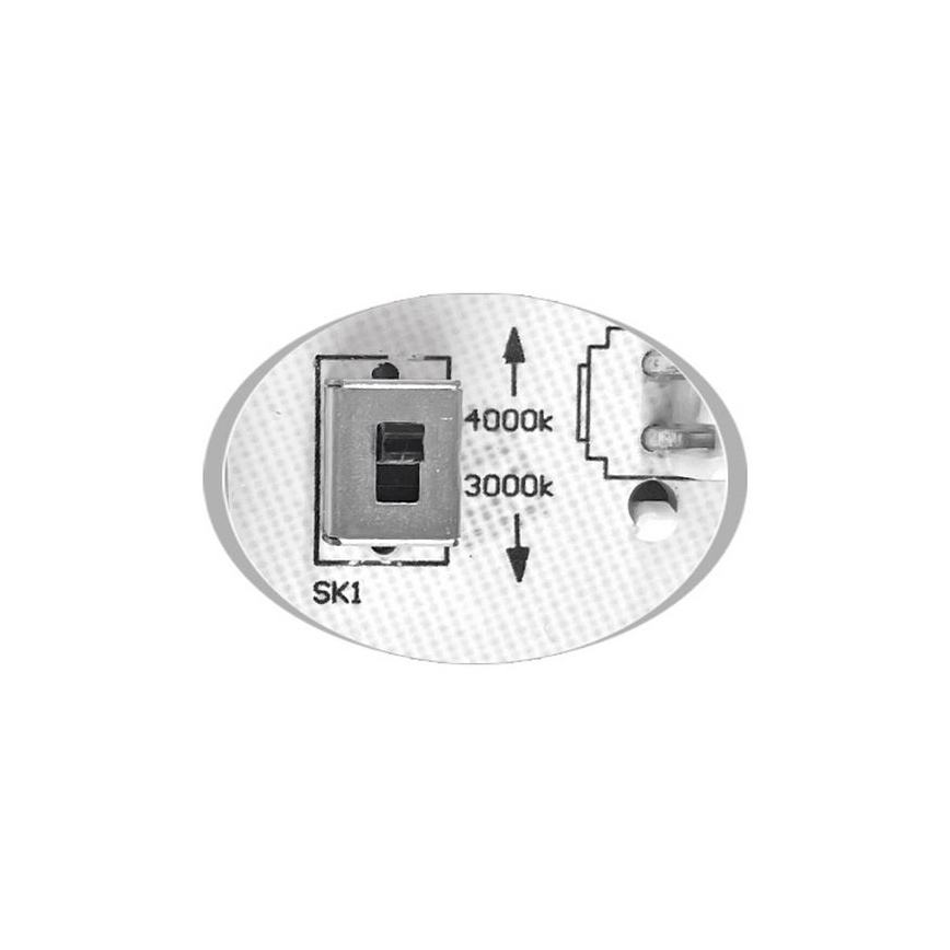 LED spoljna plafonjera MARTIN LED/15W/230V 3000/4000K Ø 30 cm IP65 bela