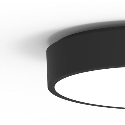 LED spoljašnje plafonsko svetlo MARTIN LED/15W/230V 3000/4000K prečnik 30 cm IP65 crna