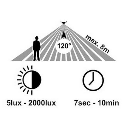 LED spoljašnje zidno svetlo sa senzorom RITA LED/12W/230V 4000K IP65