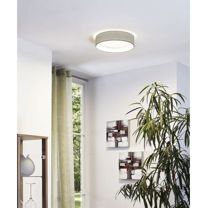 Eglo - LED stropno svetlo LED/11W/230V