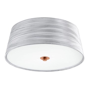 Eglo 32111 - Plafonsko svetlo FONSEA 1 2xE27/60W/230V