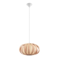 Eglo 32439 - Viseće svetlo ARENELLA 1xE27/60W/230V