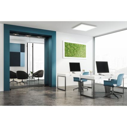 Eglo - LED plafonsko svetlo LED/16W/230V