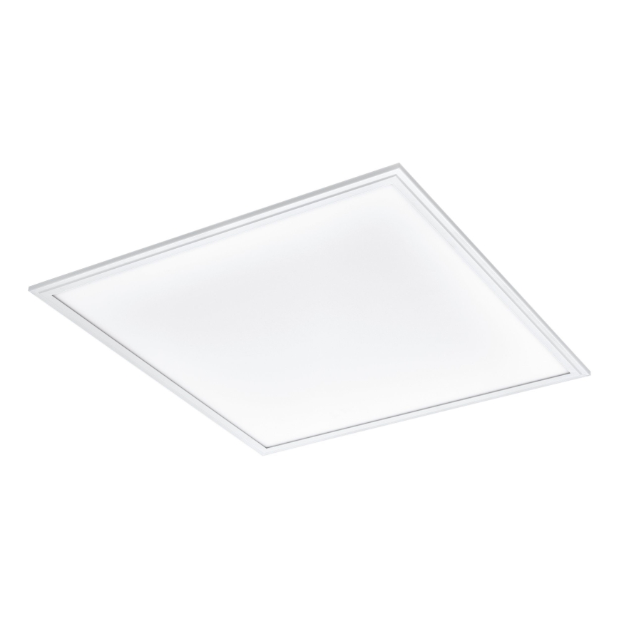 Eglo - LED plafonsko svetlo LED/40W/230V