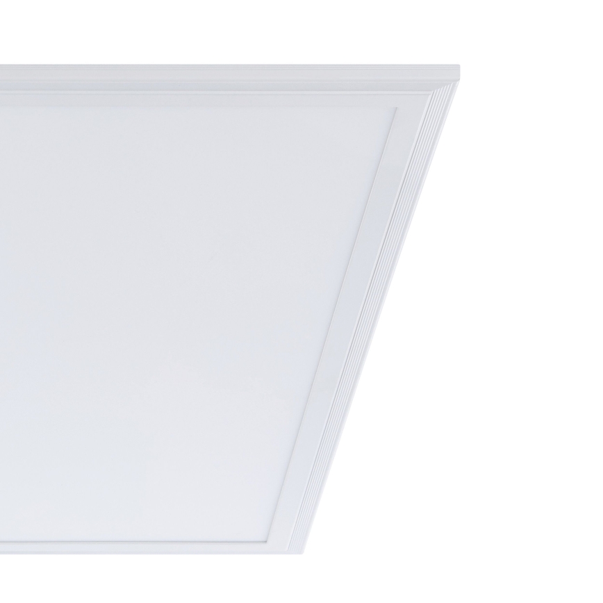 Eglo - LED plafonsko svetlo LED/40W/230V
