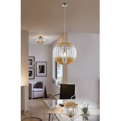 Eglo 32844 - Plafonsko svetlo OLMERO 1 1xE27/60W/230V