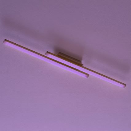 Eglo 33229 - LED RGBW prigušiva stropna svetiljka FRAIOLI-C LED/34W/230V 2700-6500K mat hrom