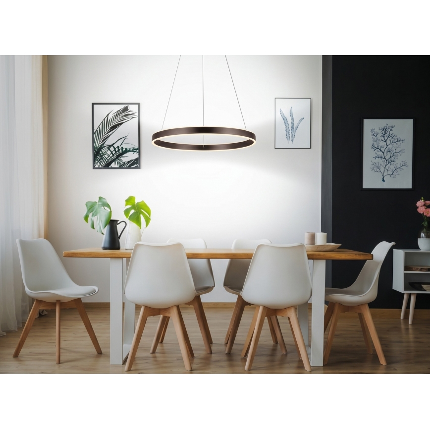 Eglo 33483 - LED luster na sajli ALCAZABA 2xLED/18W/230V 3000K prečnik 55 cm bronzana