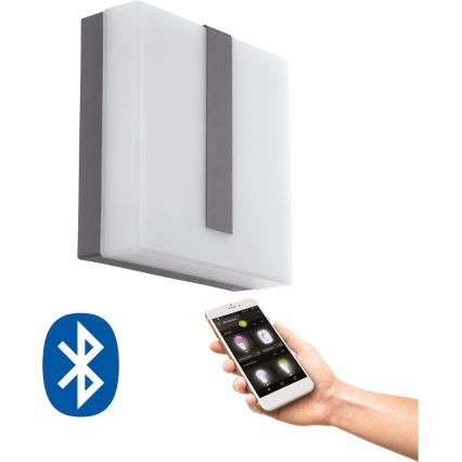 Eglo 33574 - LED prigušiva spoljašnja zidna svetiljka TORAZZA-C LED/14W/230V IP44