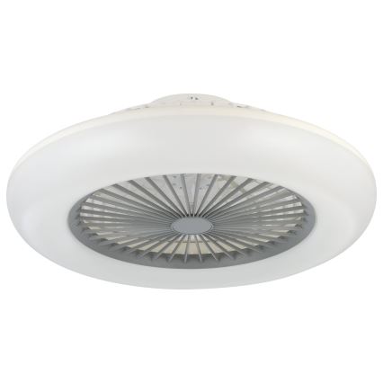 Eglo - LED prigušiva plafonski ventilator 3xLED/12,6W/230V 2700-6500K fi 55 cm siva + daljinski upravljač