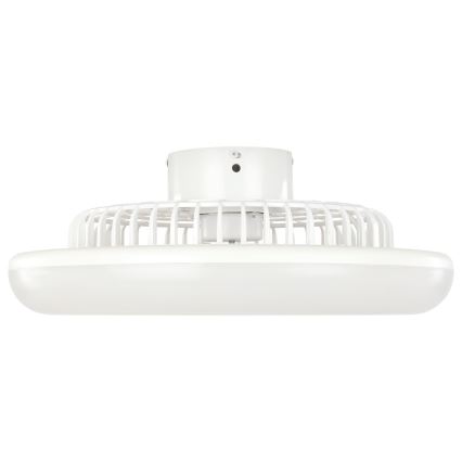 Eglo - LED prigušiva plafonski ventilator 3xLED/12,6W/230V 2700-6500K fi 55 cm siva + daljinski upravljač