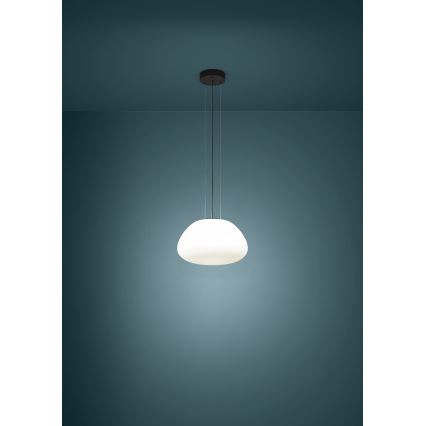 Eglo - Luster na sajli 1xE27/40W/230V crna