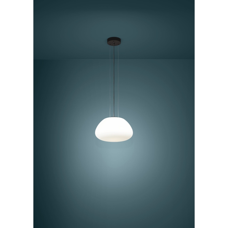 Eglo - Luster na sajli 1xE27/40W/230V crna