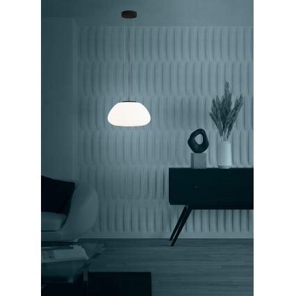 Eglo - Luster na sajli 1xE27/40W/230V crna