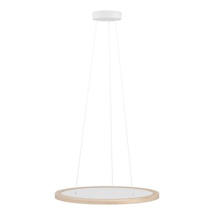 Eglo - LED prigušiva lampa na sajli LED/36W/230V 4000K bež