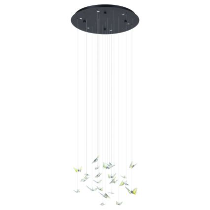 Eglo - LED prigušiva luster na sajli 6xLED/4,2W/230V crna/prozirna