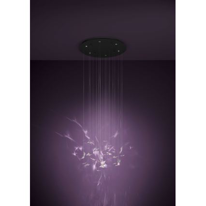 Eglo - LED prigušiva luster na sajli 6xLED/4,2W/230V crna/prozirna