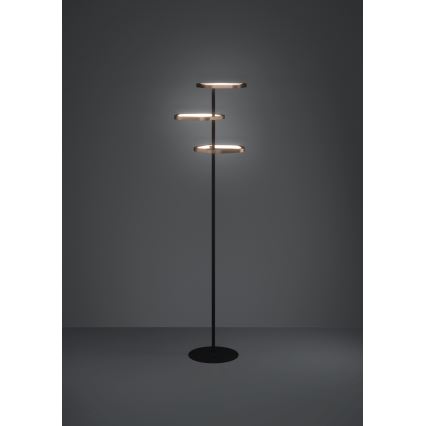 Eglo - LED prigušiva stojeća lampa LED/20W/230V 2200-6500K mesing