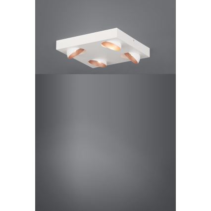 Eglo - LED prigušiva stropna svetiljka 4xLED/3,3W/230V
