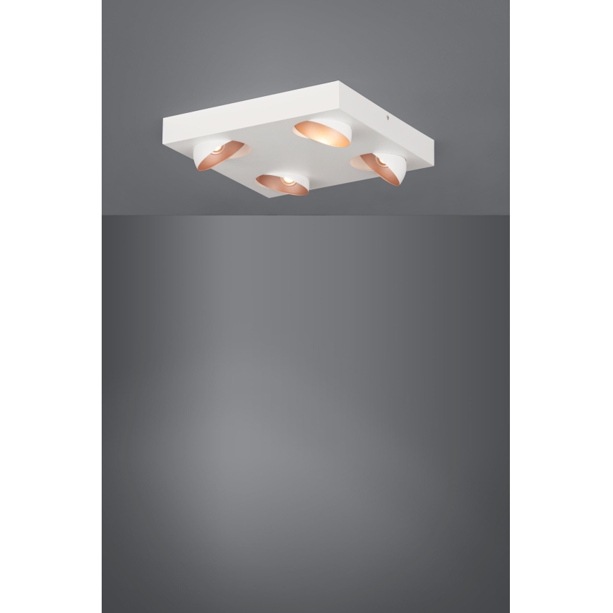 Eglo - LED prigušiva stropna svetiljka 4xLED/3,3W/230V