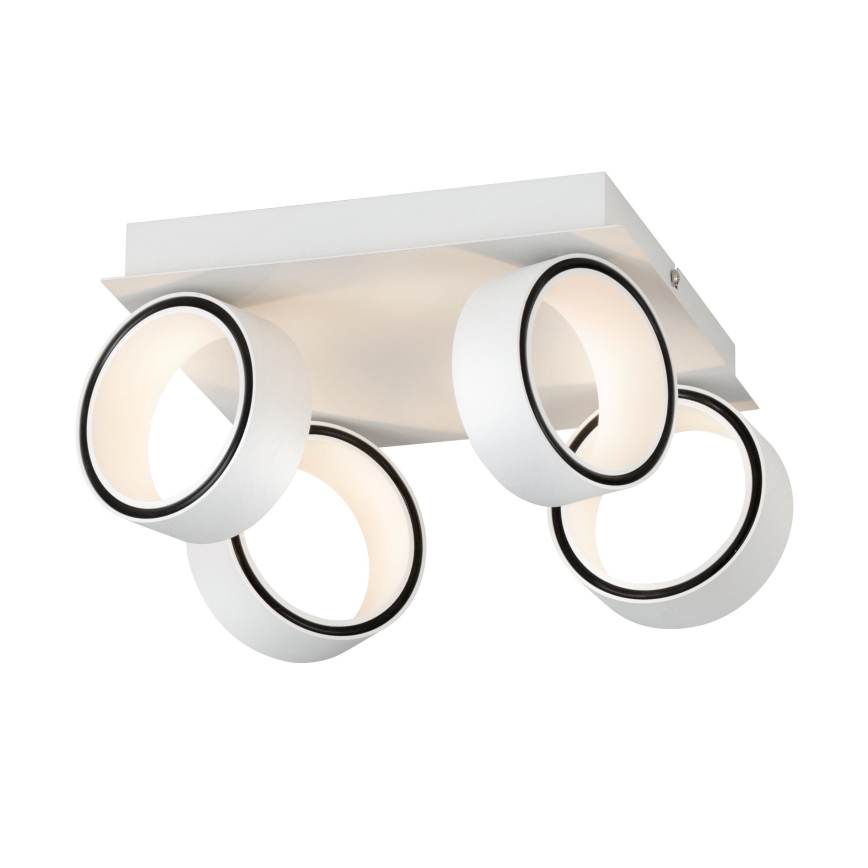 Eglo 39587 - LED spot svetiljka ALBARIZA 4xLED/4,6W/230V