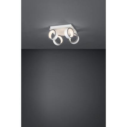 Eglo 39587 - LED spot svetiljka ALBARIZA 4xLED/4,6W/230V