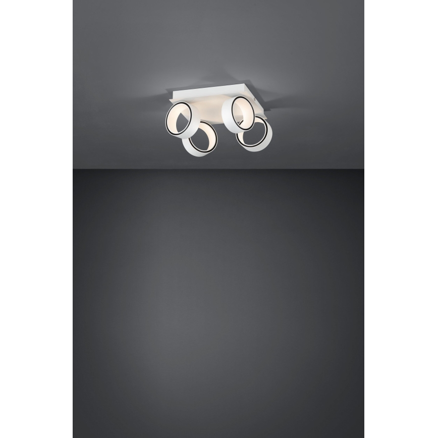 Eglo 39587 - LED spot svetiljka ALBARIZA 4xLED/4,6W/230V