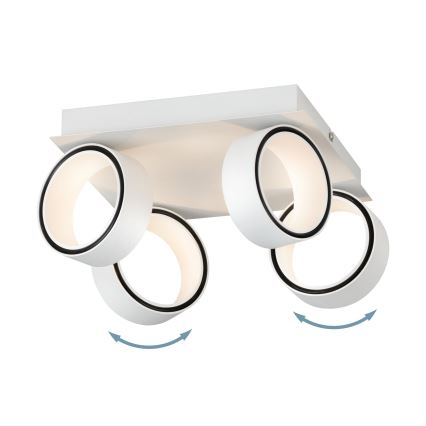 Eglo 39587 - LED spot svetiljka ALBARIZA 4xLED/4,6W/230V