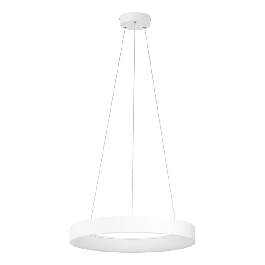 Eglo - LED prigušiva svetiljka na sajli LED/34W/230V