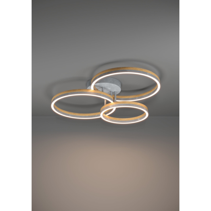 Eglo - LED prigušiva prislonjen plafonski luster LED/12,5W/230V + 2xLED/15,5W 3000K siva/hrast
