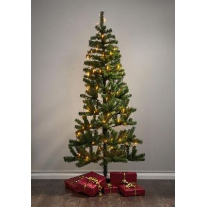 Eglo - LED spoljni lanac 80xLED 10,5m IP44 topla bela