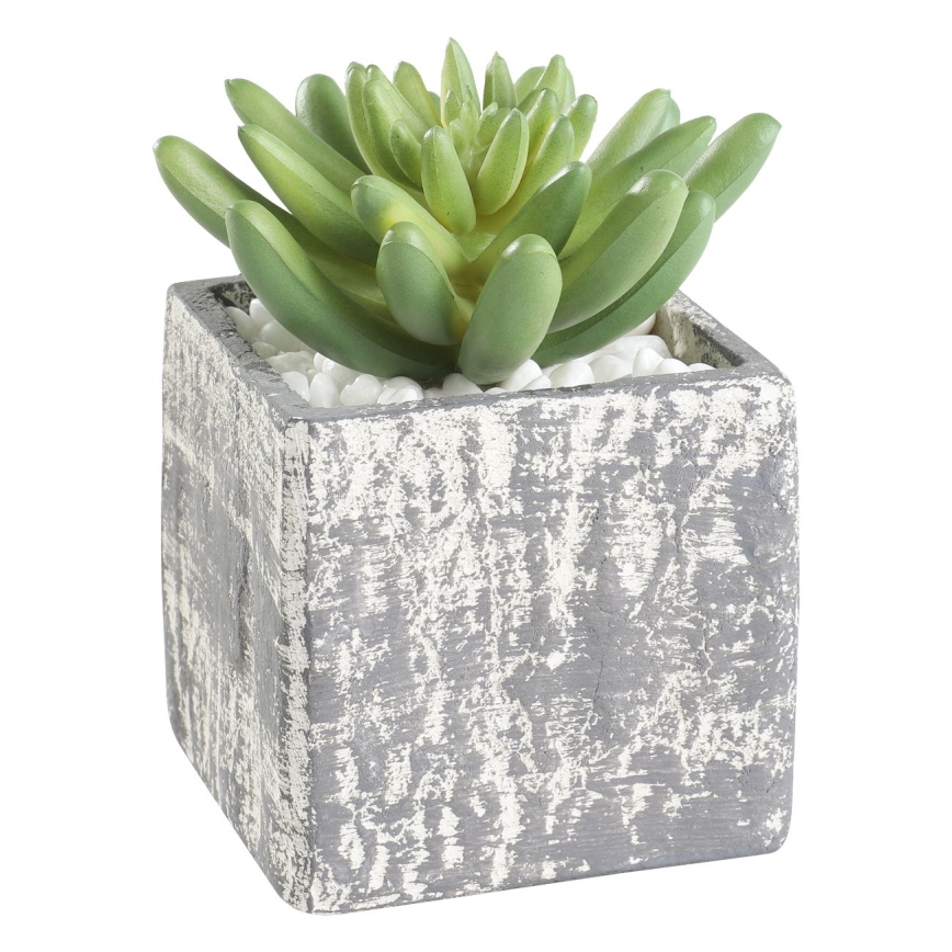 Eglo - Veštačka biljka u saksiji 12x7,5 cm sukulent