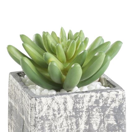 Eglo - Veštačka biljka u saksiji 12x7,5 cm sukulent