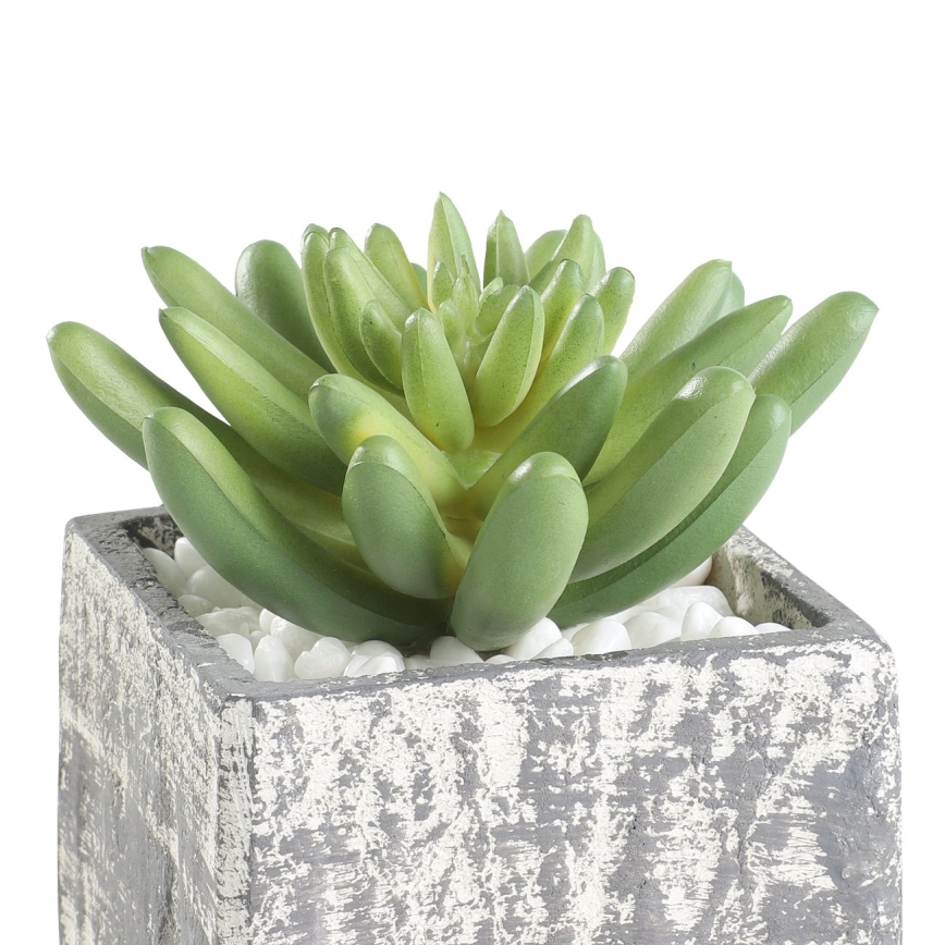 Eglo - Veštačka biljka u saksiji 12x7,5 cm sukulent