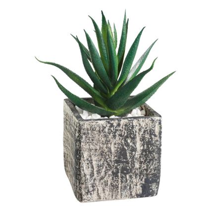Eglo - Veštačka biljka u saksiji 13x9,5 cm sukulent