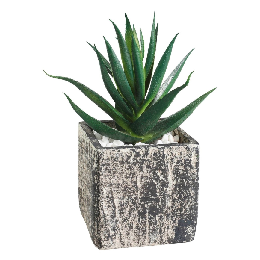 Eglo - Veštačka biljka u saksiji 13x9,5 cm sukulent
