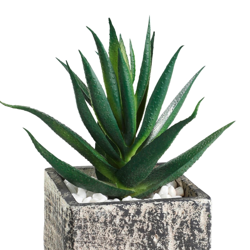 Eglo - Veštačka biljka u saksiji 13x9,5 cm sukulent