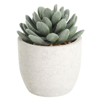 Eglo - Veštačka biljka u saksiji 11x8 cm, sukulent